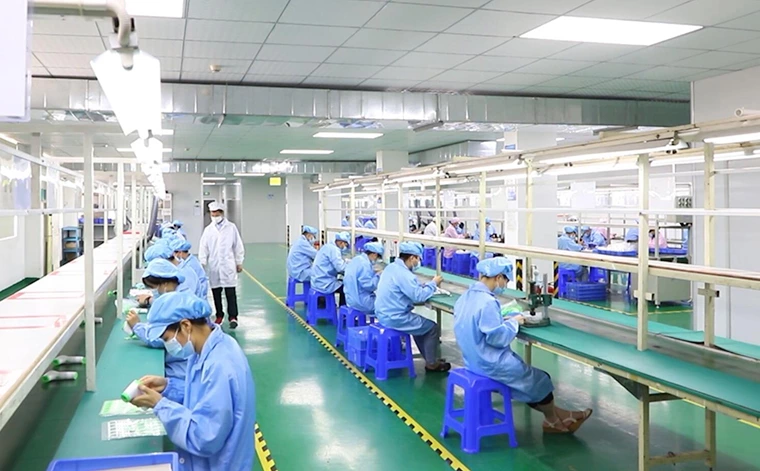 Lianuoy successfully passed the ISO13485 audit