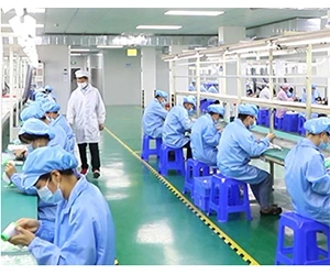 Company Profile