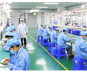 Company Profile