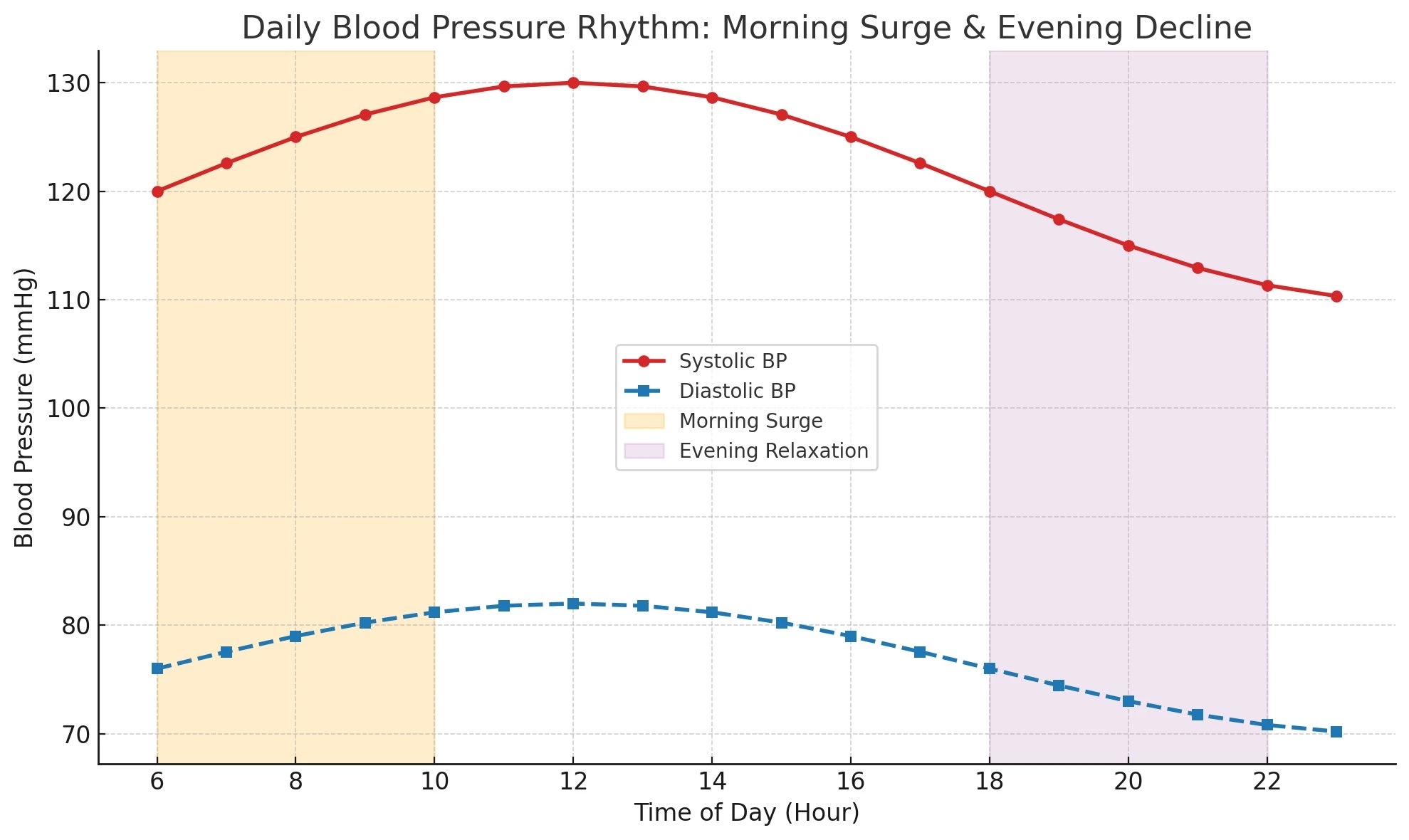 Understanding Blood Pressure Monitors