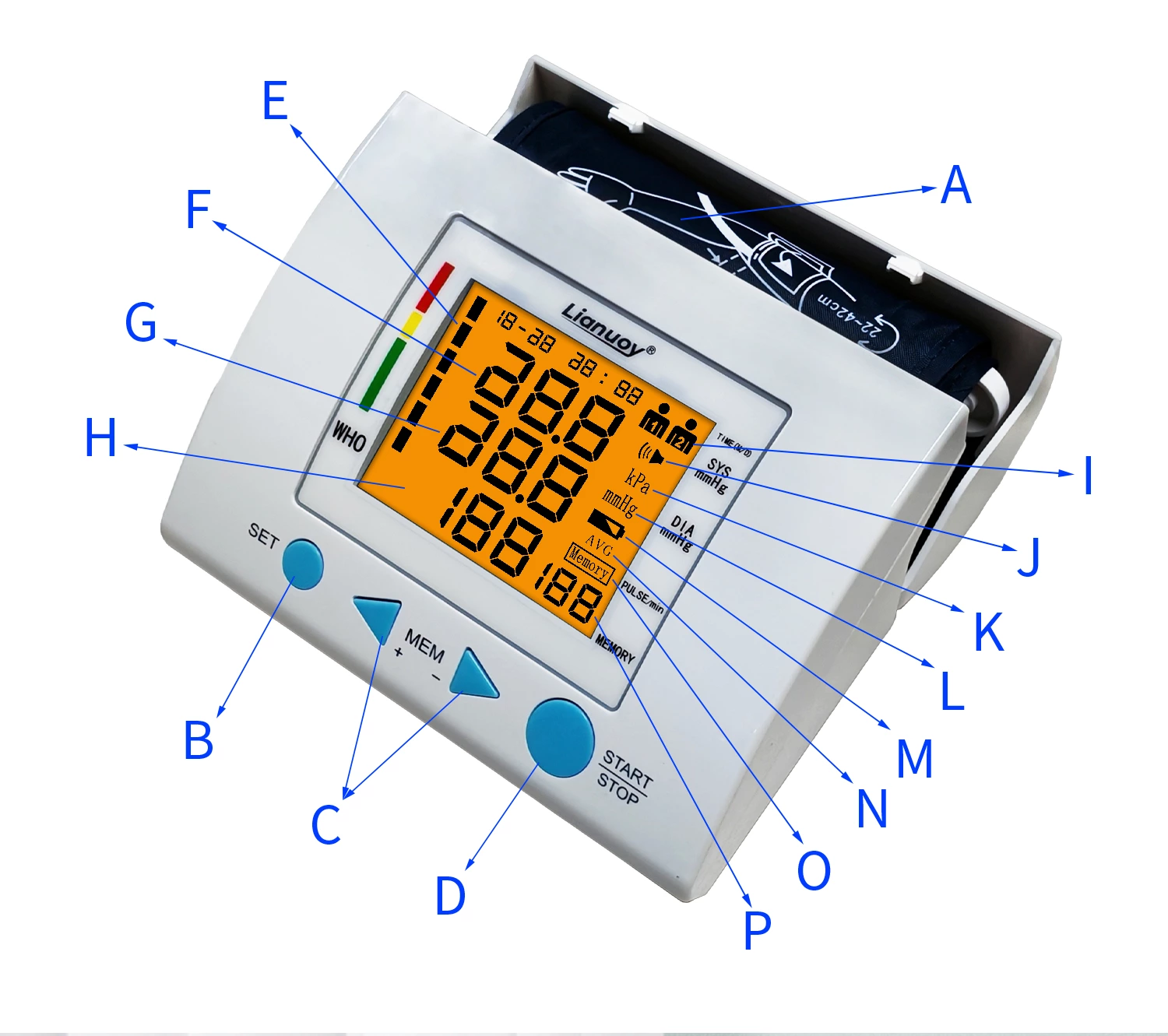 Arm Style Blood Pressure Monitor