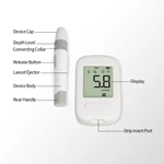 Home Blood Glucose Meter