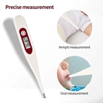 Rigid Digital Thermometer