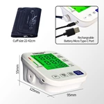 Electronic blood pressure monitor